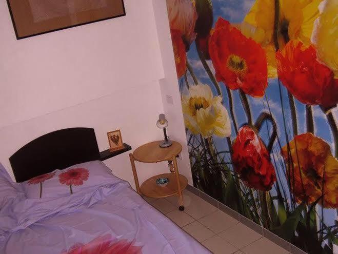 Tarcisio B&B Tavullia Habitación foto