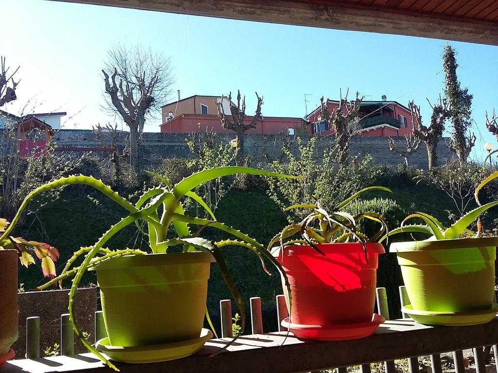 Tarcisio B&B Tavullia Exterior foto